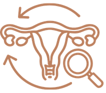 Estrogen-Smart Support