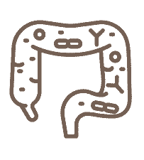 Microbiome Diversity